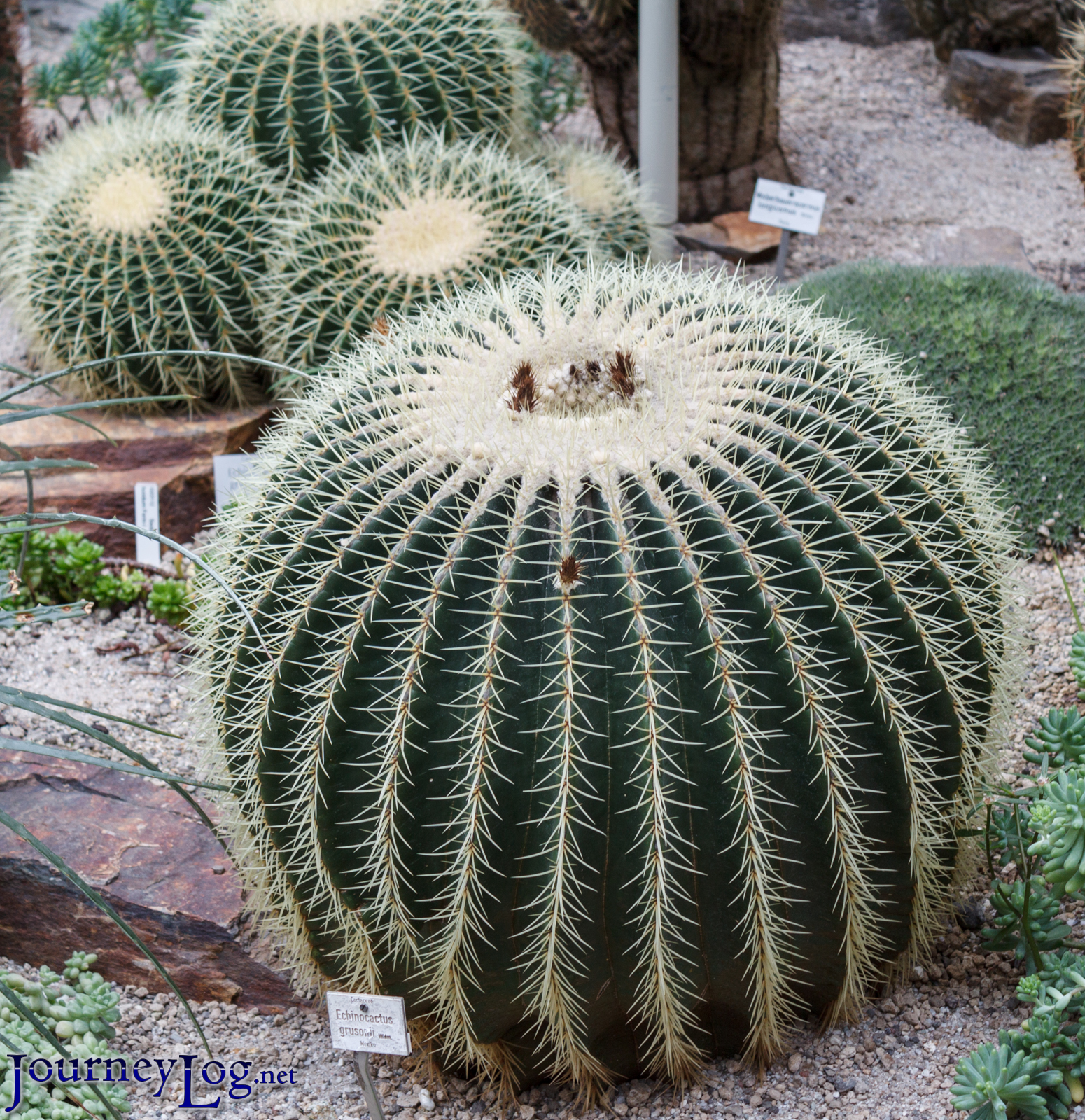 Botanischer Garten München